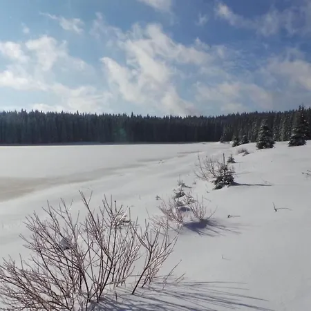 Henneberg By Interhome 公寓 Weitersglashütte