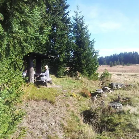 Henneberg By Interhome Weitersglashütte