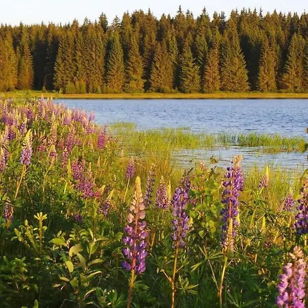 Henneberg By Interhome 公寓