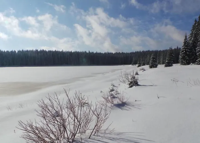 Henneberg By Interhome Apartamento Weitersglashütte