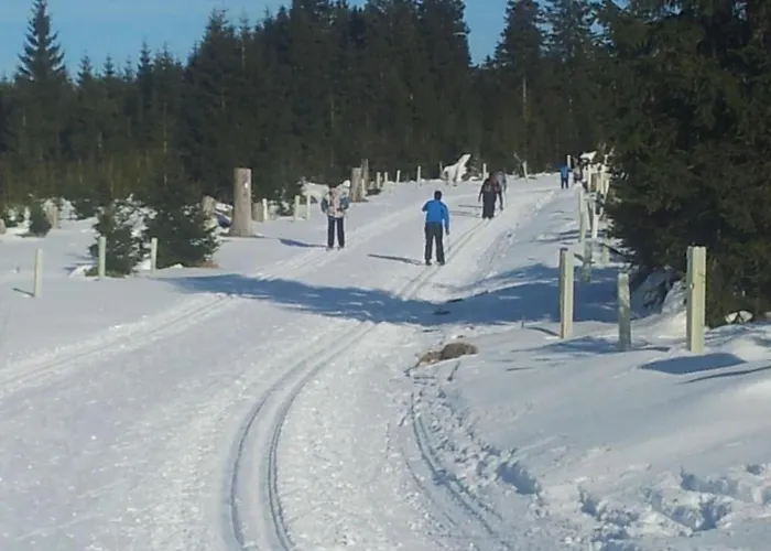 Henneberg By Interhome *