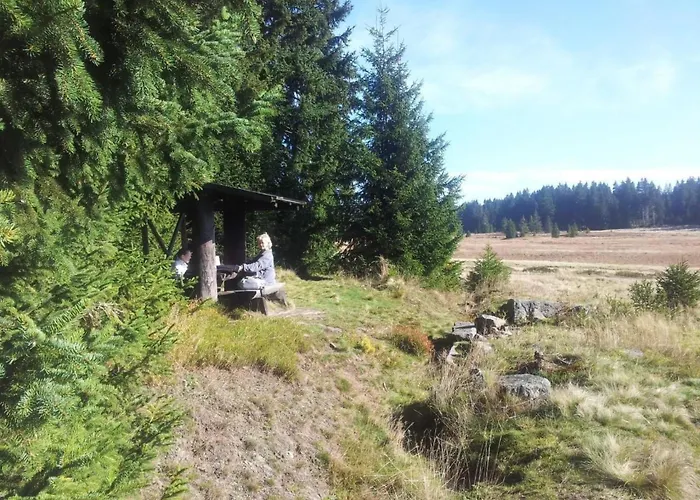 Henneberg By Interhome Weitersglashütte