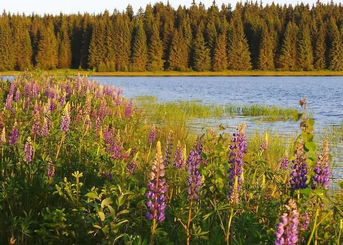 Henneberg By Interhome Apartamento